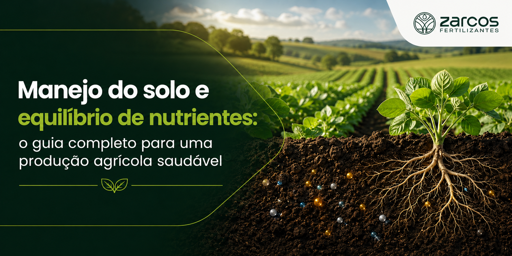 Manejo do Solo e Equilíbrio de Nutrientes | Guia Completo