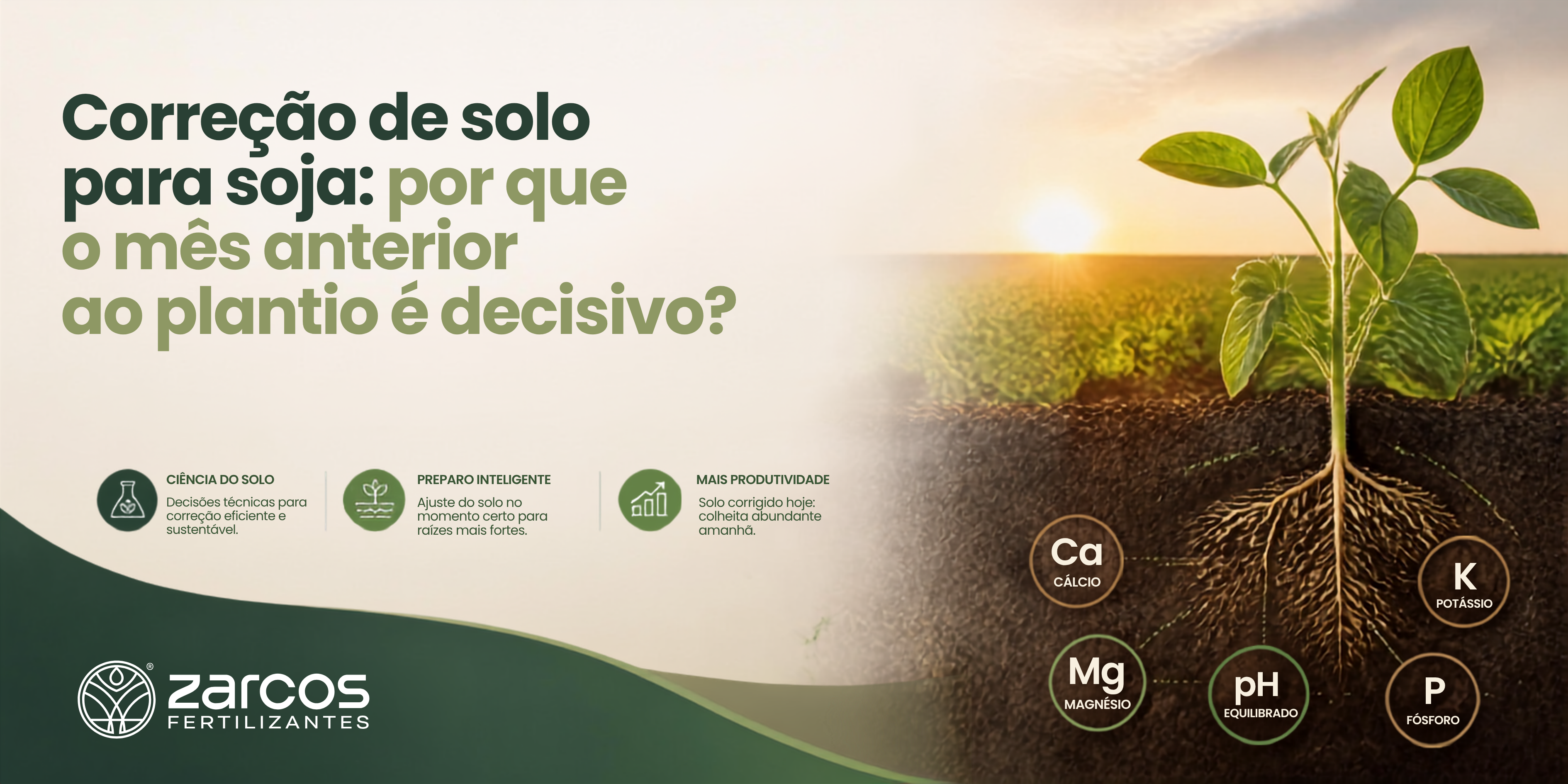 Correção de Solo para Soja: Por Que o Mês Anterior ao Plantio é Decisivo