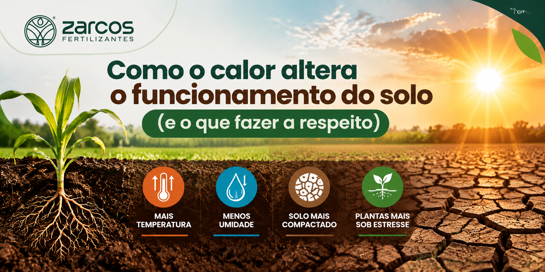 Como o calor altera o funcionamento do solo (e o que fazer a respeito)